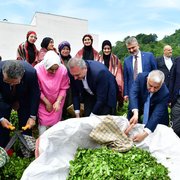 Of'ta 2025 Yaş Çay Sezonu Dualarla Açıldı